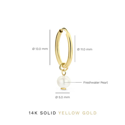 Delia Crest Earrings | Golden